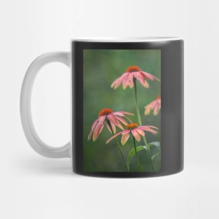 Echinacea flowers with green background Mug